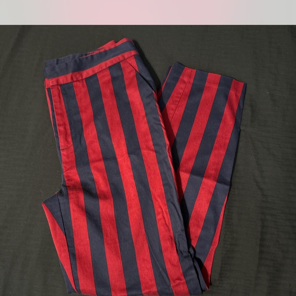 Forever 21 Burgundy and Navy Striped Pants